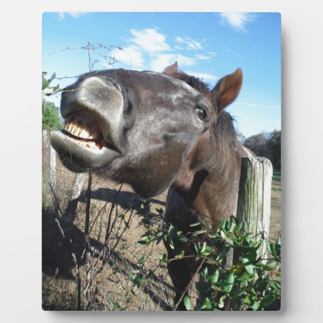 Talking Brown Horse Fotoplatte (Vorderseite)