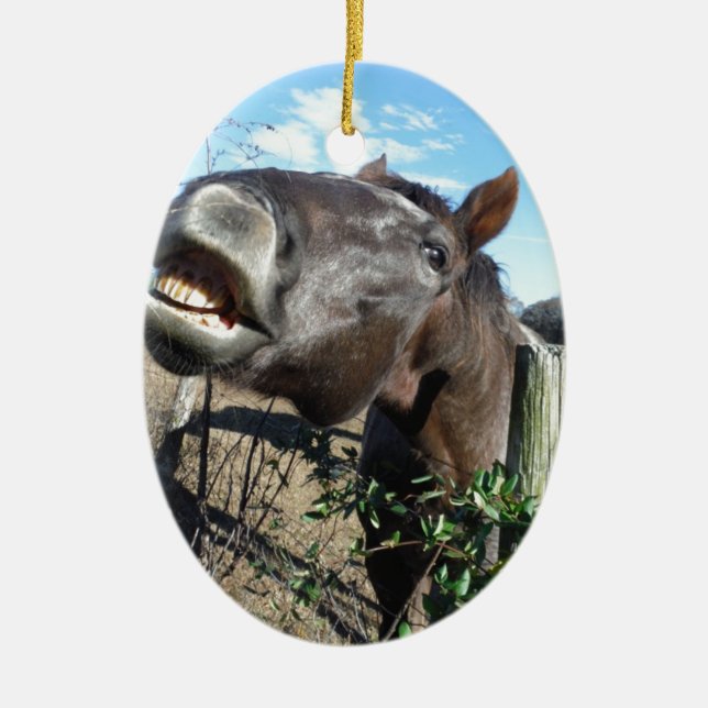 Talking Brown Horse Keramik Ornament (Vorne)