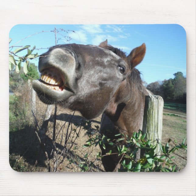 Talking Brown Horse Mousepad (Vorne)