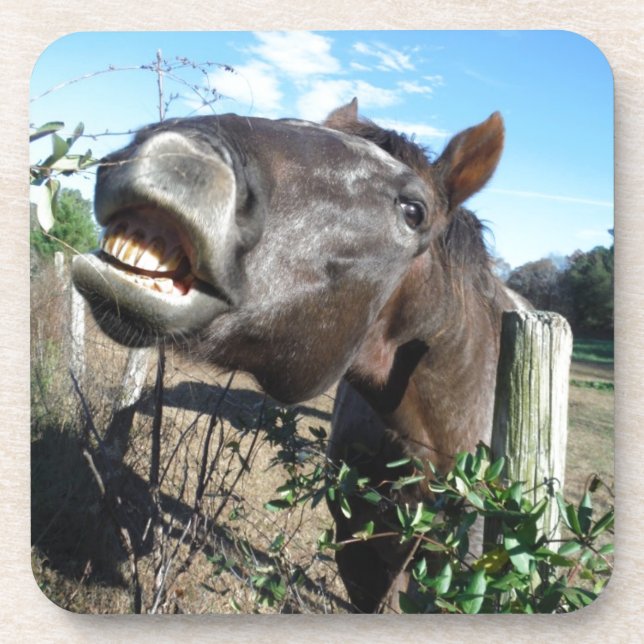 Talking Brown Horse Untersetzer (Vorderseite)