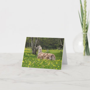 Talking Llama Cards Dankeskarte