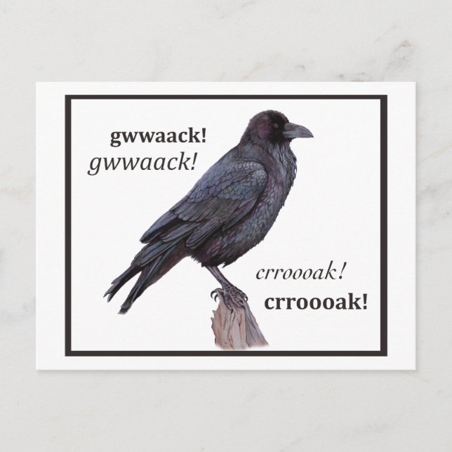 Talking Raven Greeting Postkarte (Vorderseite)