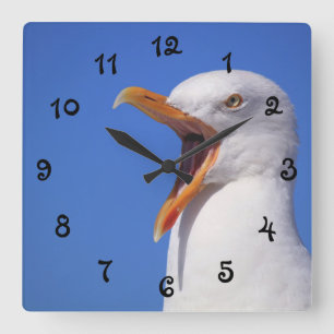 Talking Seagull Quadratische Wanduhr
