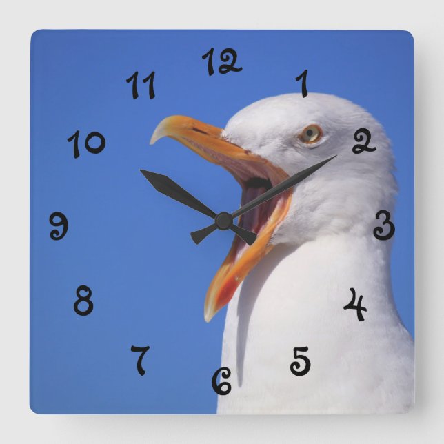 Talking Seagull Quadratische Wanduhr (Vorderseite)