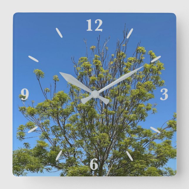 Tall Ash Tree im schönen Blue Sky Foto Quadratische Wanduhr (Vorderseite)