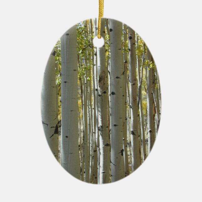 Tall Aspen Stämme Ornament (Vorne)
