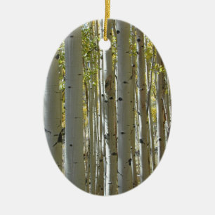 Tall Aspen Trunks Ornament