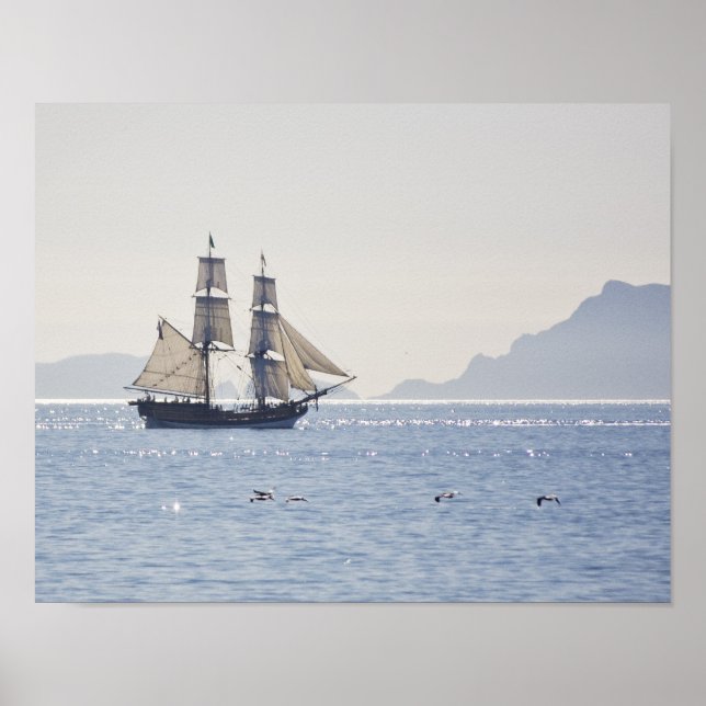 Tall ship Lady Washington Poster (Vorne)