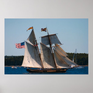 Tall Ship Pride Baltimore Foto Poster