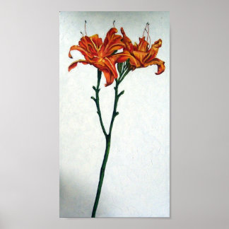 Tall Tiger Lilies Poster
