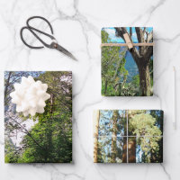 Tall Trees Decorative Decoupage Hochwertige Trias