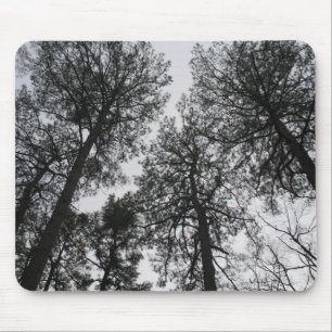 Tall Trees Mousepad