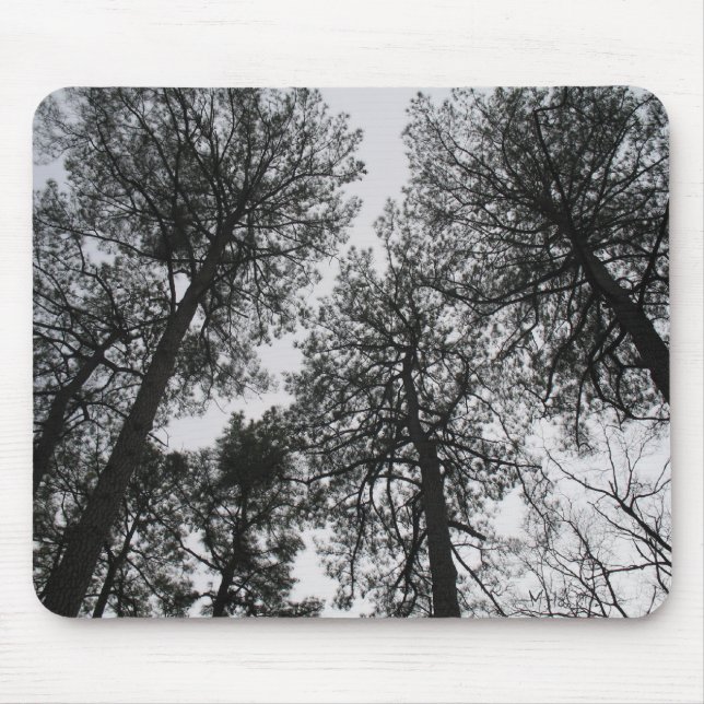 Tall Trees Mousepad (Vorne)