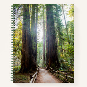 Tall Trees Notizbuch