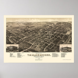 Tallahassee, FL Panorama Karte - 1885 Poster