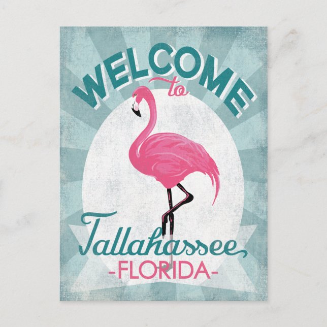 Tallahassee Florida Pink Flamingo Retro Postkarte (Vorderseite)