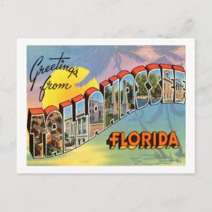 Tallahassee Florida Postcard Postkarte