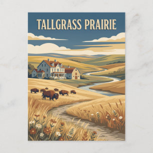 Tallgrass Prairie Kansas Bison Vintage Poster Postkarte