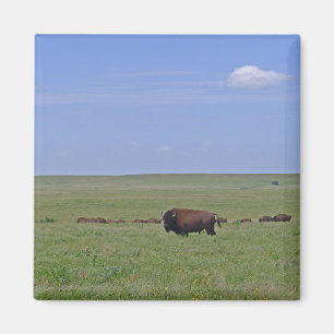 Tallgrass Prairie National Preserve - Kansas Magnet