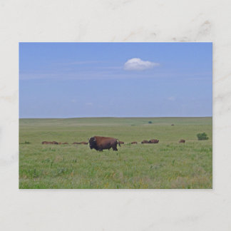 Tallgrass Prairie National Preserve - Kansas Postkarte