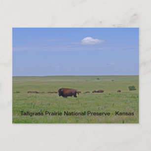 Tallgrass Prairie National Preserve - Kansas Postkarte