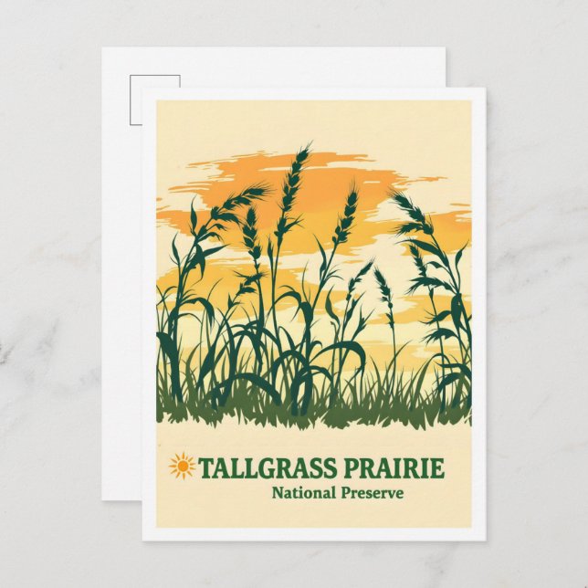 Tallgrass Prairie National Preserve Kansas Travel Postkarte (Vorne/Hinten)