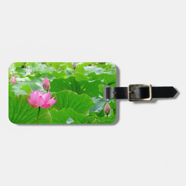 Tallrosa Wasserlilie zwischen Lily Pads Gepäckanhänger (Vorderseite horizontal)