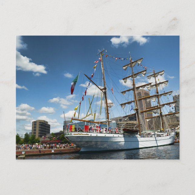Tallships in Baltimore Postkarte (Vorderseite)