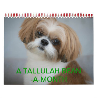 Tallulah Bean Calendar Niedlich Shih Tzu 2014 Kalender