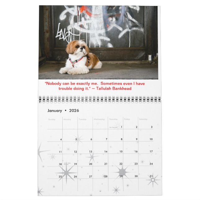 Tallulah Bean Calendar Niedlich Shih Tzu Kalender (Jan 2026)