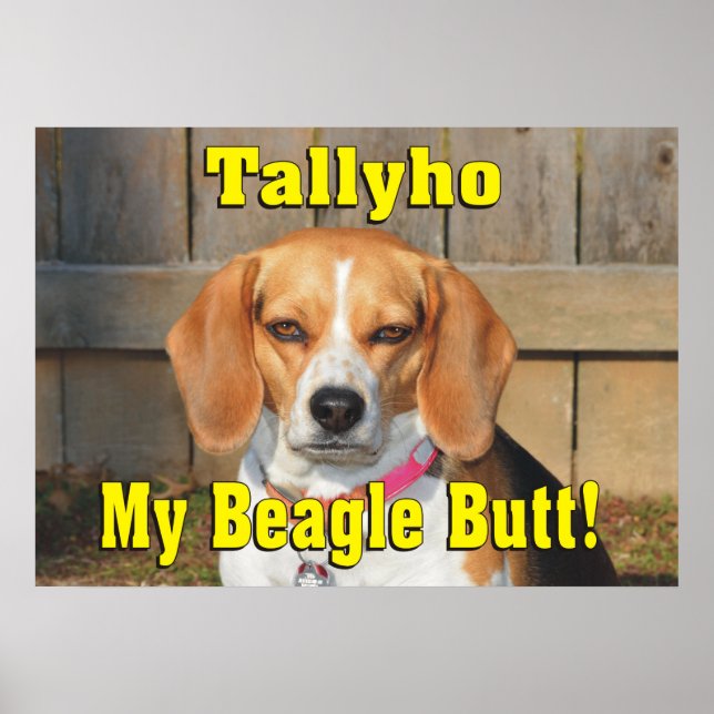 Tallyho Mein Beagle Hintern! Grumpy Beagle Poster (Vorne)