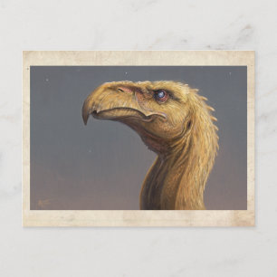Talon's Head - Postcard Postkarte