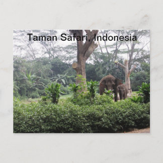 Taman Safari Postkarte