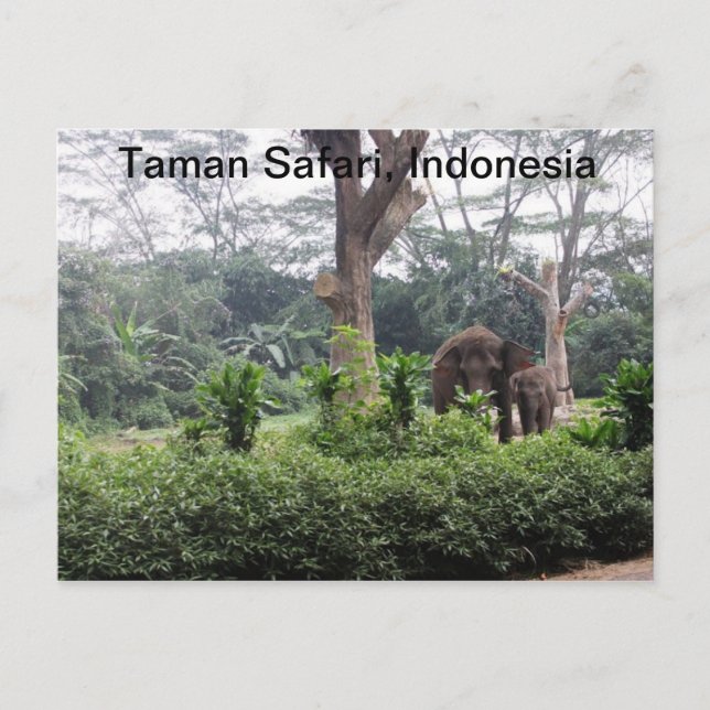 Taman Safari Postkarte (Vorderseite)