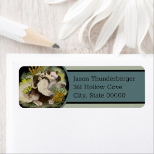 Tamandua Anteater