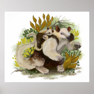 Tamandua Anteater Poster