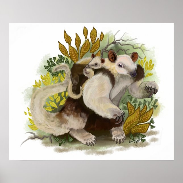 Tamandua Anteater Poster (Vorne)