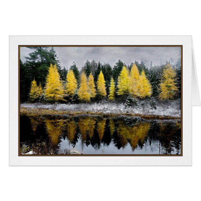 Tamarack Dream Card (Vorderseite (Horizontal))