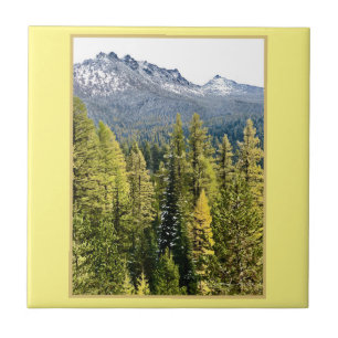 Tamarack Gold Fliese