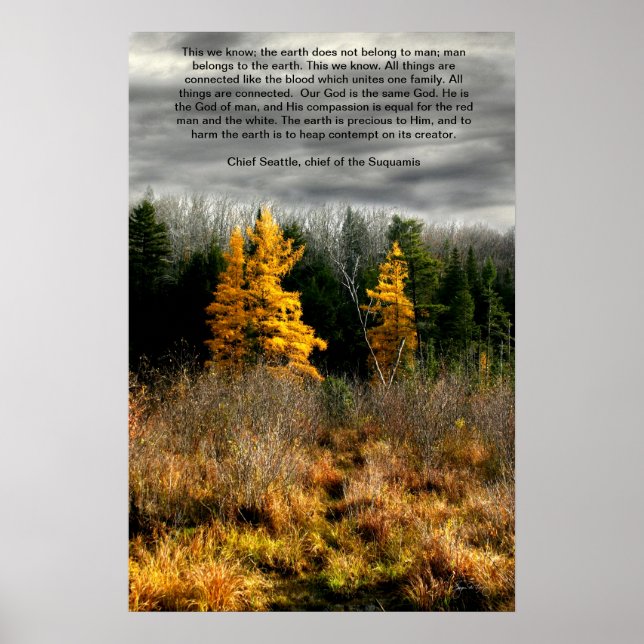 Tamarack Three Seattle Quote Card, Seattle Quote Poster (Vorne)