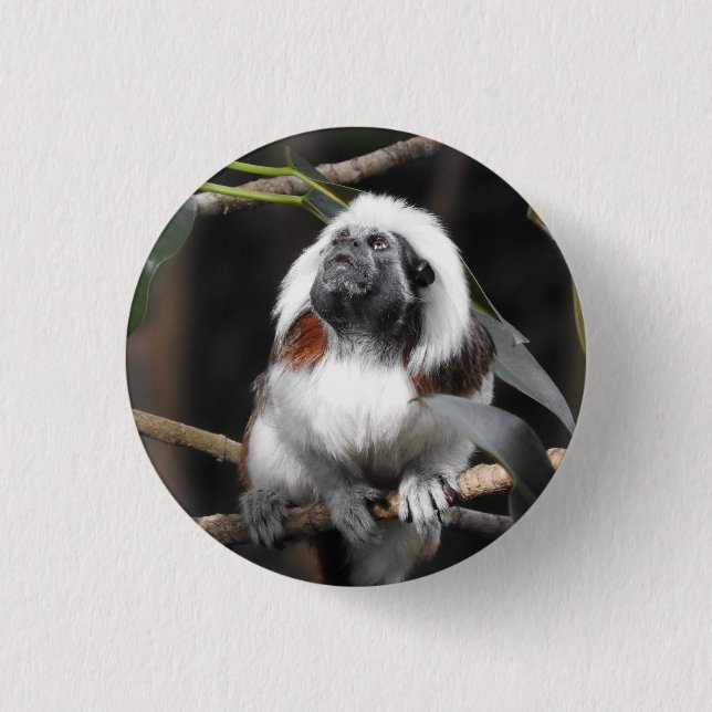 Tamarin Abzeichen Button (Vorderseite)