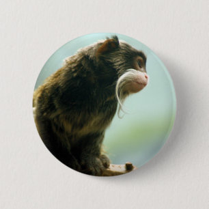 Tamarin-Affe Button