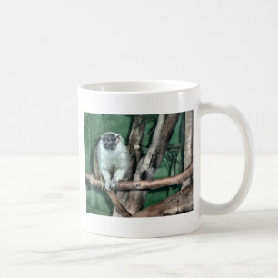Tamarin-Affe Tasse