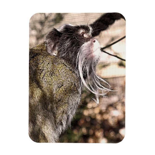 TAMARIN MONKEY MAGNET (Vertikal)