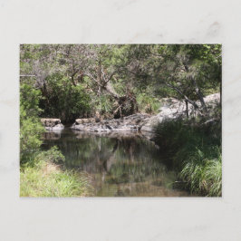 Tamborine #3 postkarte