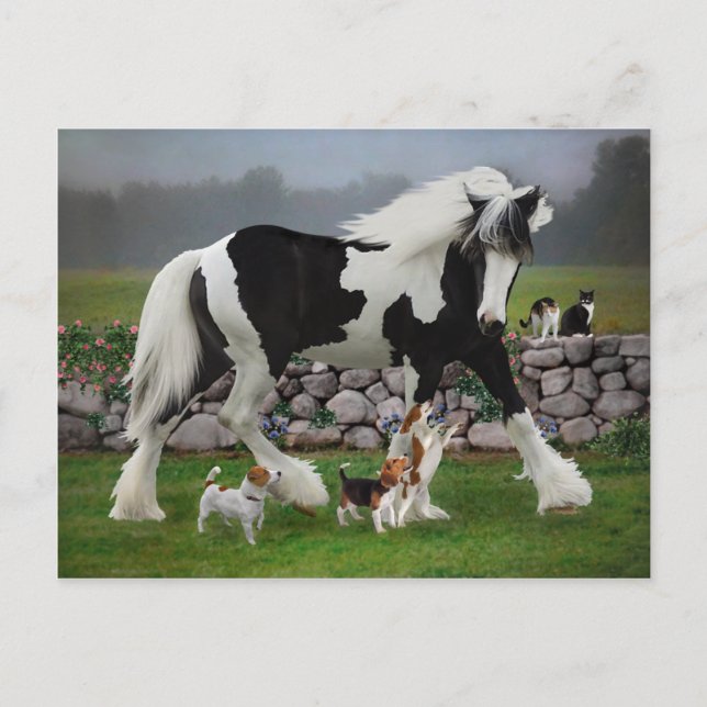 "Tamlin and the Pups" Postkarte (Vorderseite)