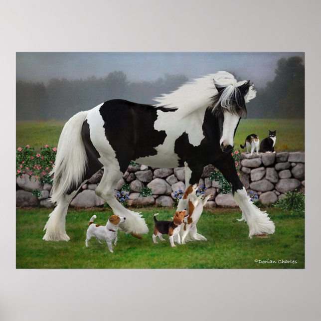 Tamlin & The Pups Poster (Vorne)