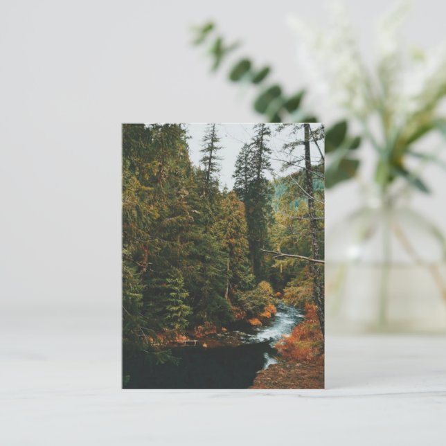 Tamolitch Falls ( Blue Pool) Feiertagspostkarte (Stehend Vorderseite)