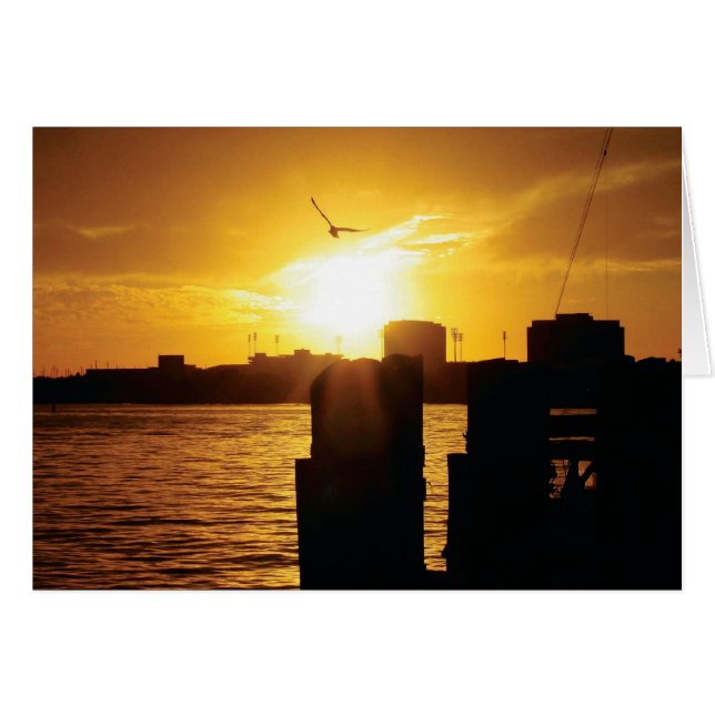 Tampa Bay (Vorderseite (Horizontal))