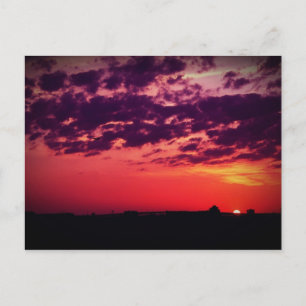 Tampa Bay Sunset Postkarte